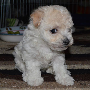 Meet your Posher, Brenna